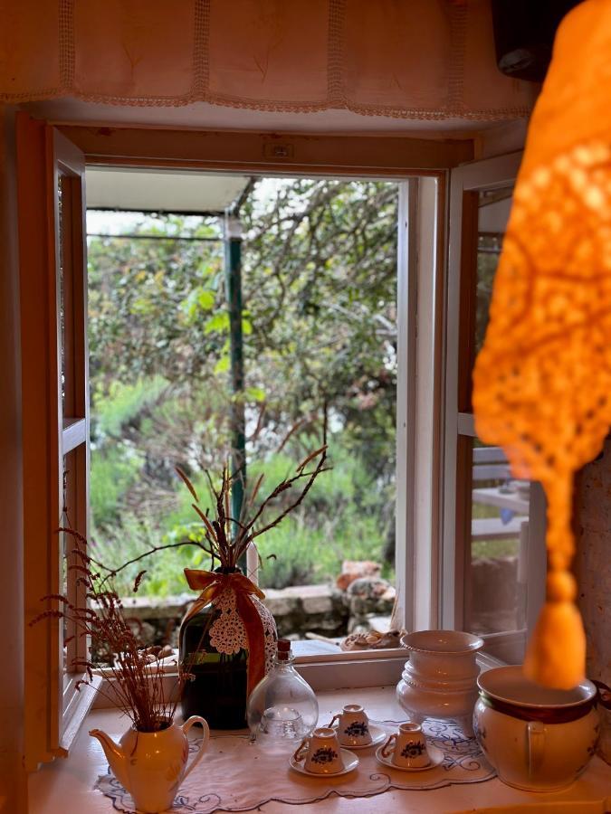 Willa Robinson House Leticia Čunski Zewnętrze zdjęcie